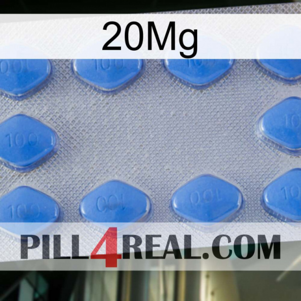 20Mg 21.jpg